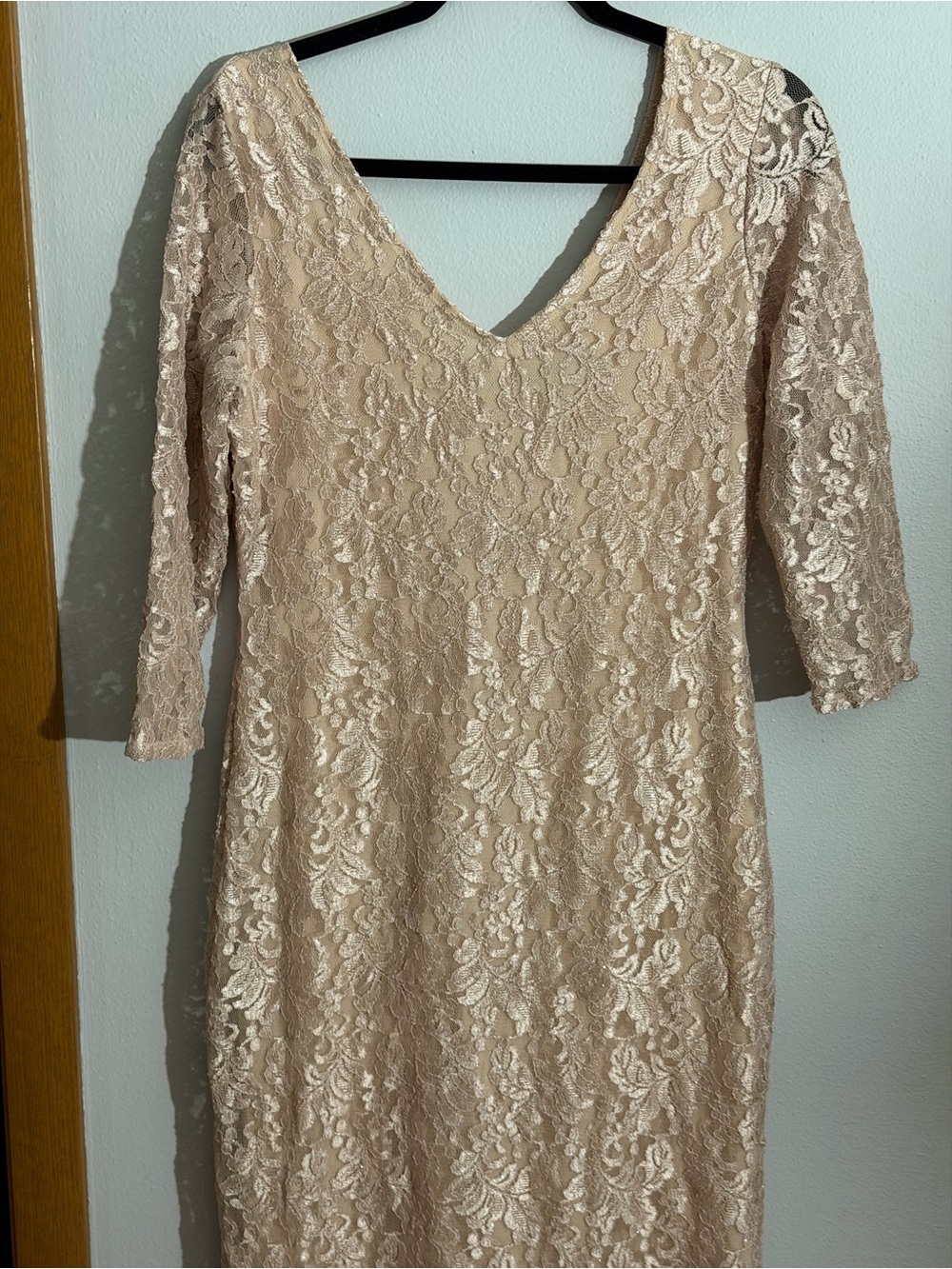 Blu Sage Lace V-Neck Maxi Dress in Champagne